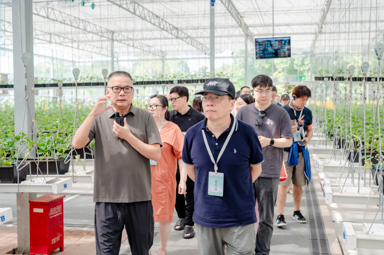 太美了！2025世界溫州人文藝家赴楠溪江創作采風紀實